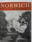 Norwich in pictures