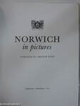 Norwich in pictures