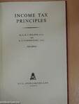 Income tax principles