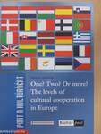 One? Two? Or more? The levels of cultural cooperation in Europe