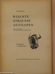 Wisente strausse antilopen