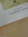 Sacerdotis Missio