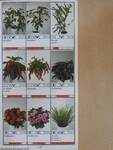 Potplanten/Pot Plants/Topfpflanzen/Plantes en pot/Piante da vaso/Planta en particular 1995/96