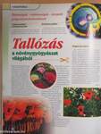 Természetgyógyász magazin 2004. július