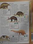 The Marshall Children's Animal Encyclopedia