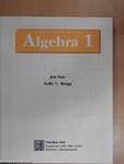 Prentice Hall Algebra 1.