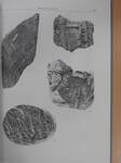 A Balaton-vonal néhány permnél idősebb képződményének kőzettani vizsgálata (dedikált példány)