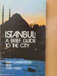 Istanbul: A brief guide to the city