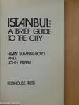 Istanbul: A brief guide to the city