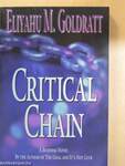 Critical Chain