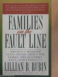 Families on the Fault Line