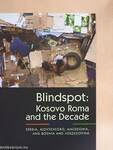 Blindspot: Kosovo Roma and the Decade