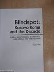 Blindspot: Kosovo Roma and the Decade