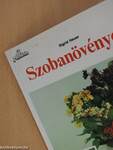 Szobanövények