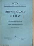 Histopathologie des Neurons