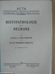 Histopathologie des Neurons