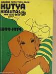 Jubiláris Nemzetközi CACIB kutyakiállítás 1899-1974