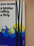 A bitófán csillog a fény