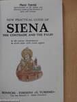 New Practical Guide of Siena