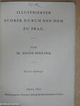 Illustrierter Führer Durch den Dom zu Prag