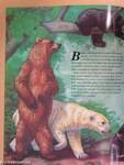Zoobooks - Bears