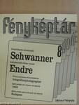 Schwanner Endre