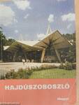 Hajdúszoboszló