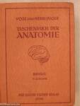 Taschenbuch der Anatomie III. (töredék)