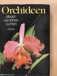 Orchideen