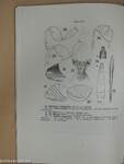 Acta Entomologica Musei Nationalis Pragae 1951. XXVII/Supplementum 1.