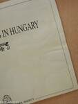 Folk High Schools In Hungary