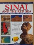 Sinai And The Red Sea