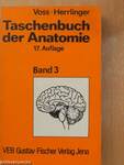 Taschenbuch der Anatomie III. (töredék)