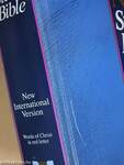 The NIV Study Bible