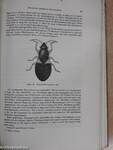 Hemiptera Insularum Canariensium