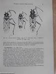 Hemiptera Insularum Caboverdensium