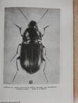 Acta Faunistica Entomologica Musei Nationalis Pragae 1957/2.