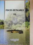 Pisces Hungarici VII.