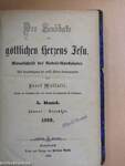 Der Sendbote der göttlichen Herzens Jesu Jänner-Dezember 1869. (gótbetűs)