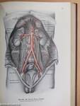 Lehrbuch und Atlas der Anatomie des Menschen III.