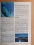 Submarine búvármagazin 2003. tavasz