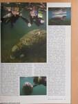 Submarine búvármagazin 2004. nyár