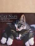 Cat Naps