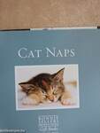 Cat Naps