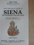 New Practical Guide of Siena