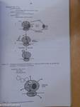 Molecular Cell Biology - Syllabus