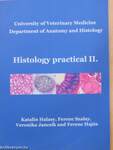 Histology practical II.