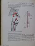 Technic of Roentgenologic Investigation