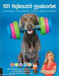 101 fejlesztő gyakorlat
