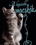 A legszebb macskák